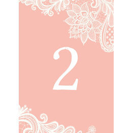 Romantic Lace Table Number