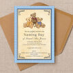 Teddy Bears' Picnic Naming Day Ceremony Invitation additional 2