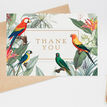 Pack of 10 Tropical Birds Thank You Note Cards additional 2