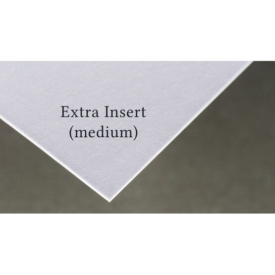 Extra Insert (Medium)