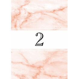 Blush Marble Table Number