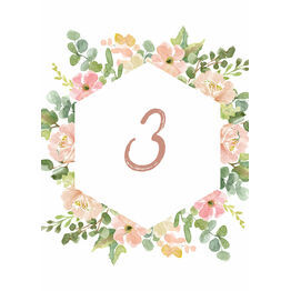 Blush Pink Flowers Table Number