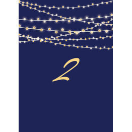 Navy & Gold Fairy Lights Table Number