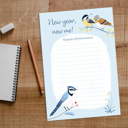 Winter Birds New Years Resolutions Printable