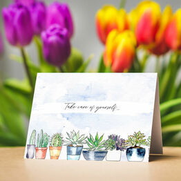 Pack of 10 Succulents Note Cards