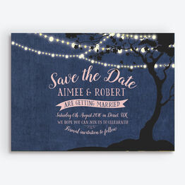 Enchanted Fairy Lights Save the Date