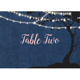 Enchanted Fairy Lights Table Name