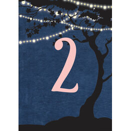 Enchanted Fairy Lights Table Number