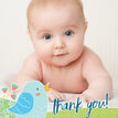 Baby Bird Personalised Thank You Photo Card - Blue additional 2