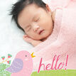 Baby Bird Personalised Birth Announcement Photo Card - Pink additional 2