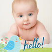 Baby Bird Personalised Birth Announcement Photo Card - Blue additional 2