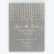 Dove Grey Fairy Lights Save the Date additional 1