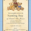 Teddy Bears' Picnic Naming Day Ceremony Invitation additional 3