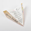 Pastel Coloured Airmail Paper Airplane Wedding Invitation additional 3