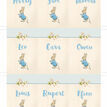 Beatrix Potter Peter Rabbit Name Cards - Set of 9 additional 2