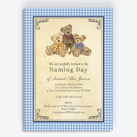Teddy Bears' Picnic Naming Day Ceremony Invitation