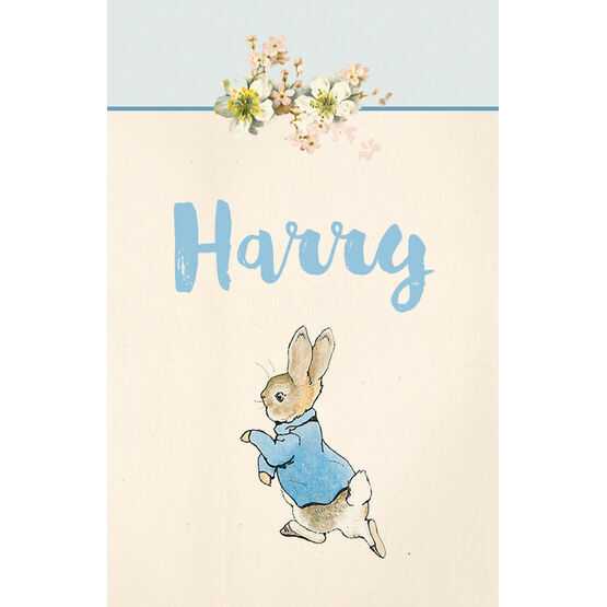 Beatrix Potter Peter Rabbit Name Cards - Set of 9